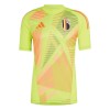 Camiseta de fútbol Portero Bélgica Euro 2024 Amarilla - Hombre